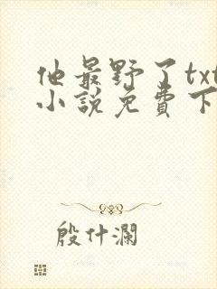 他最野了txt小说免费下载