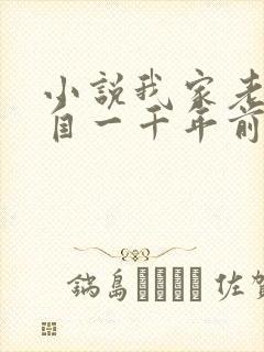 小说我家老婆来自一千年前全文免费阅读封面