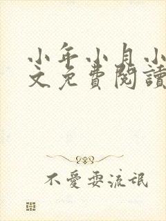 小年小月小说全文免费阅读无弹窗