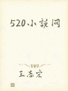 520小说网封面