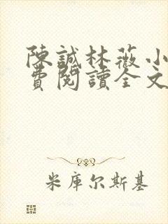 陈诚林薇小说免费阅读全文最新章节封面