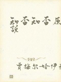 知否知否原著小说封面
