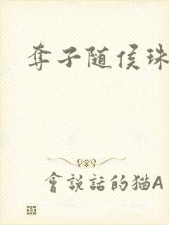 夺子随侯珠封面
