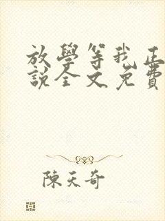 放学等我正版小说全文免费阅读封面
