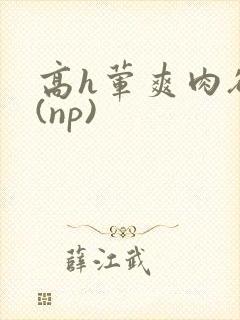 高h荤爽肉欲文(np)