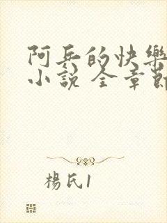 阿兵的快乐生活小说 全章节阅读免费
