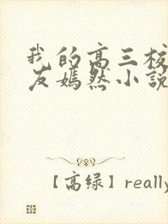 我的高三校花女友嫣然小说