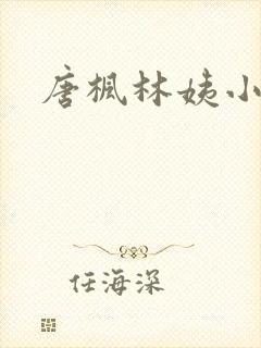 唐枫林姨小说