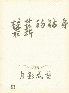 校花的贴身高手最新封面