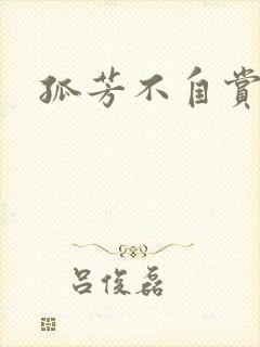 孤芳不自赏小说