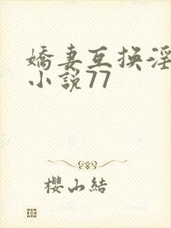 娇妻互换淫欢(小说77封面