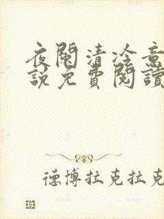 夜阑清冷意欢小说免费阅读