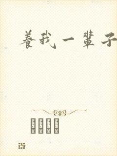 养我一辈子封面