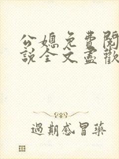 公媳免费阅读小说全文尽欢年代