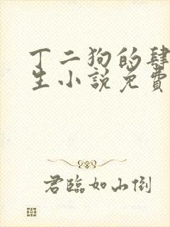 丁二狗的肆意人生小说免费阅读