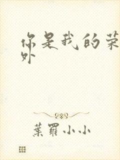 你是我的荣耀番外