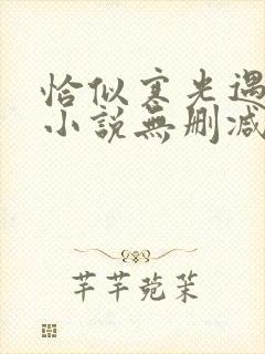 恰似寒光遇骄阳小说无删减正版在线阅读封面