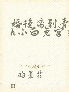 婚后脔到青梅哭h小白兔宫交h