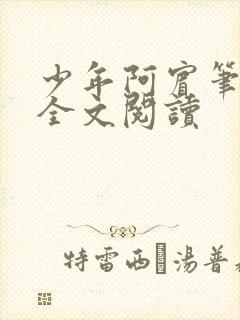 少年阿宾笔趣阁全文阅读