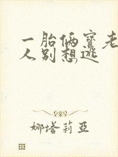 一胎俩宝老婆大人别想逃