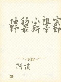 他的小祖宗甜又野最新章节txt