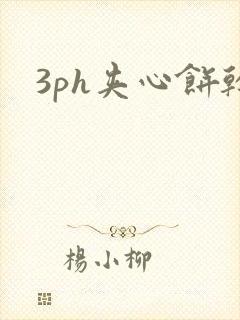 3ph夹心饼干封面