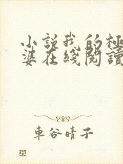 小说我的极品老婆在线阅读全文封面