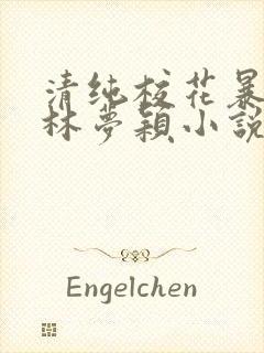 清纯校花暴露记林梦颖小说免费阅读最新章