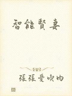 智能贤妻