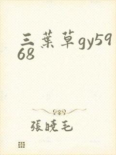 三叶草gy5968