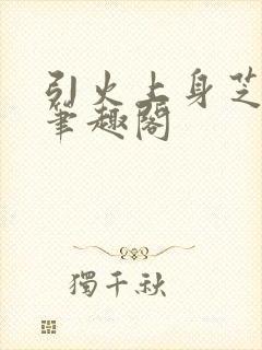 引火上身芝麻糖笔趣阁封面