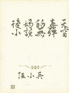 后妈的春天王磊小说无弹窗