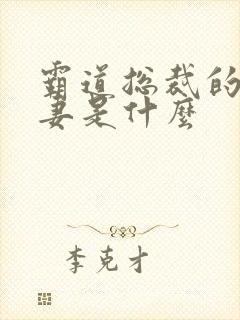 霸道总裁的小娇妻是什么