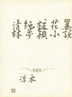 清纯校花暴露记林梦颖小说免费阅读