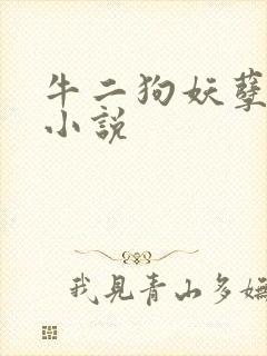 牛二狗妖孽人生小说