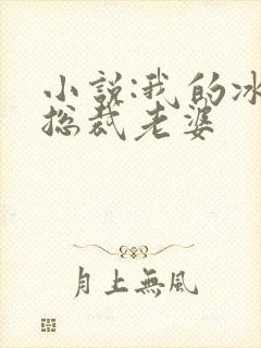 小说:我的冰山总裁老婆