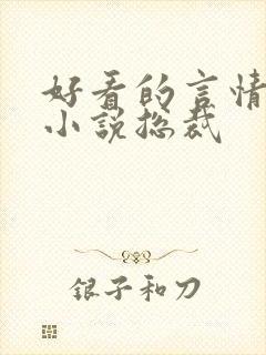 好看的言情甜宠小说总裁封面