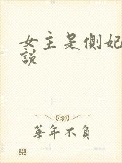 女主是侧妃的小说