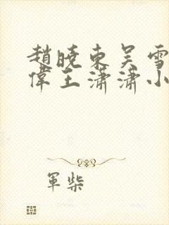 赵晓东吴雪晴郑伟王潇潇小说名字