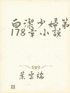 白洁少妇第1一178章小说封面