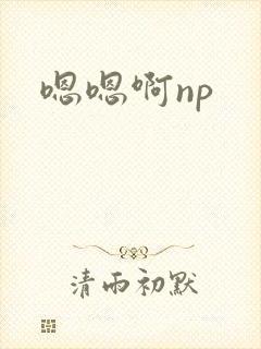 嗯嗯啊np