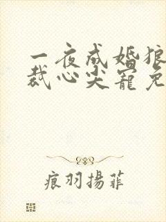 一夜成婚狼性总裁心尖宠免费阅读
