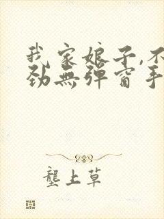 我家娘子,不对劲无弹窗手机版封面