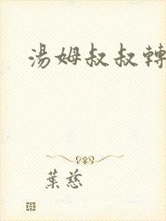 汤姆叔叔转接口