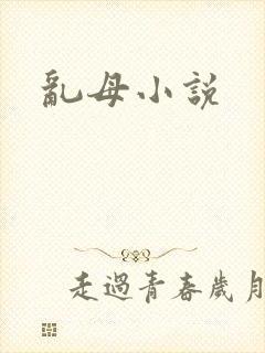 乱母小说