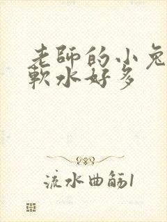 老师的小兔子好软水好多封面