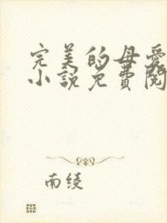 完美的母爱妈妈小说免费阅读