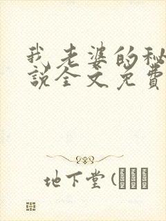 我老婆的秘密小说全文免费阅读