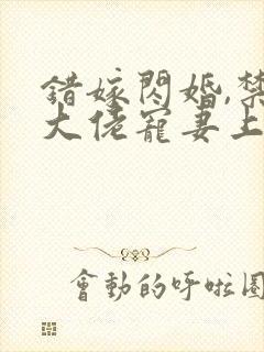 错嫁闪婚,禁欲大佬宠妻上瘾封面