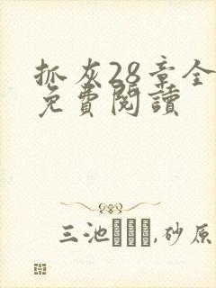 抓灰28章全部免费阅读封面